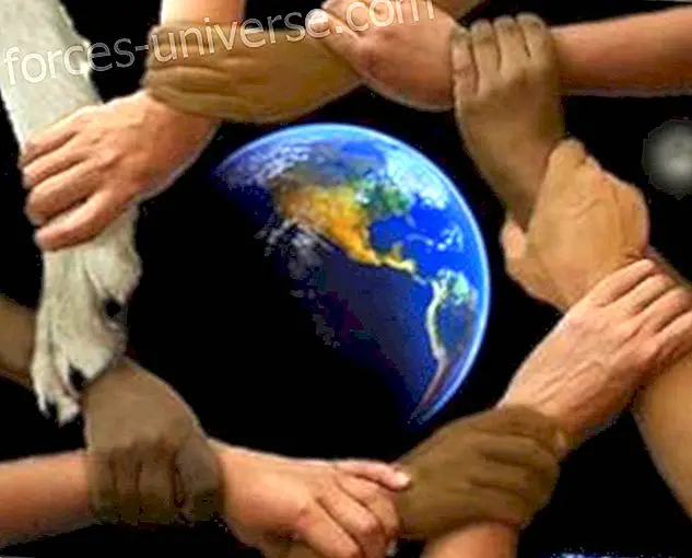 CARACAS - Caminada de Poder - Peus Descalços - diumenge 6 de febrer de 2011 - món Espiritual
