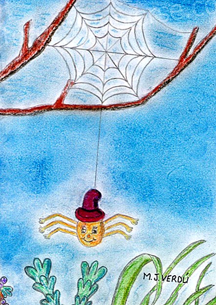 Kisah Spider yang Mencintai Bunga oleh María Jesús Verdú Sacases - Dunia Spiritual