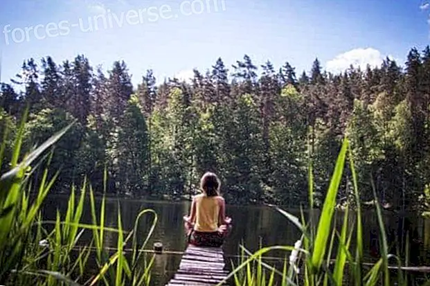 Take advantage of nature therapy to heal and broaden your consciousness