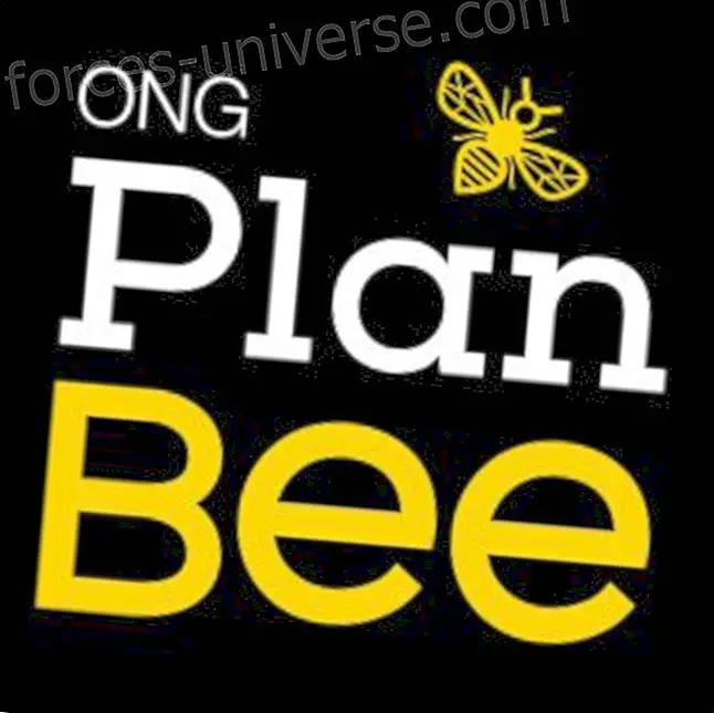 Kansalaisjärjestöjen Plan Bee Reserve -alue mehiläisten kuluttamina