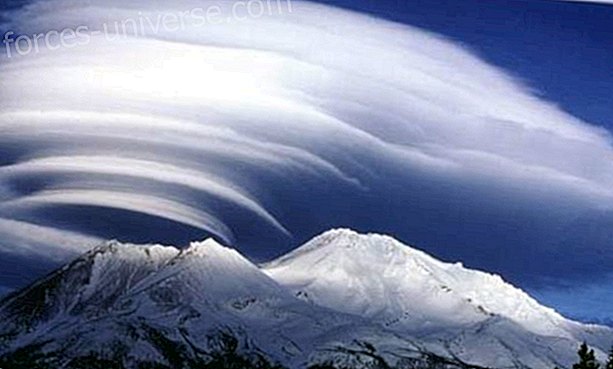 Mount Shasta - Spiritual Trips - Åndelig verden
