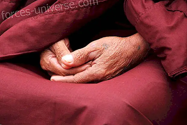 Entretien avec Sayadaw U Pandita: Instructions pour la pratique de la méditation Vipassana (1ère partie)