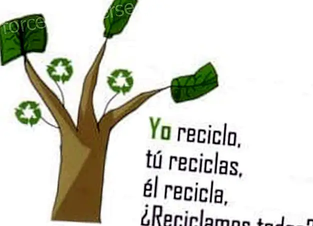  - El reciclar i la seva acció sobre l'economia