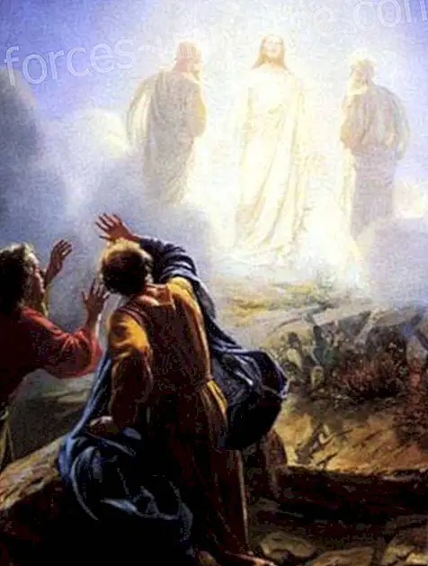 Comment la conscience se dilate avec la transfiguration