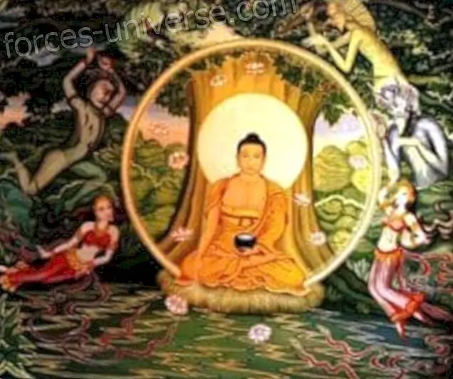 Siddhartha Gautama elu Buddha - Vaimne maailm