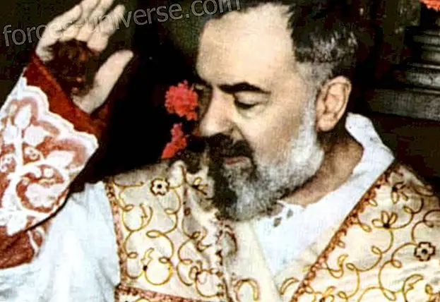 Have you heard of the mysterious Grotto of Padre Pio in Uruguay? - Spiritual World
