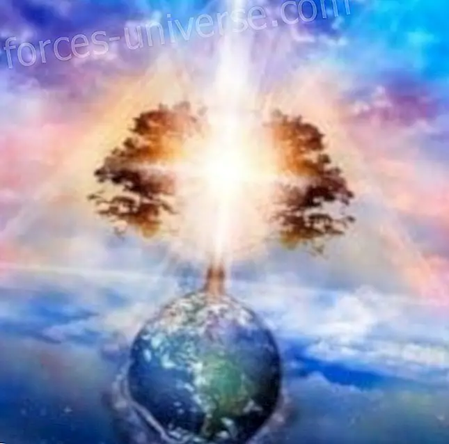 World Link 11.11 - Patricia Cota-Robles - Hengellinen maailma