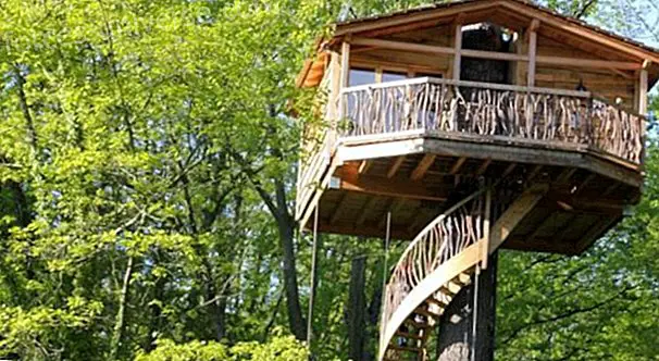 Reviving the tree house