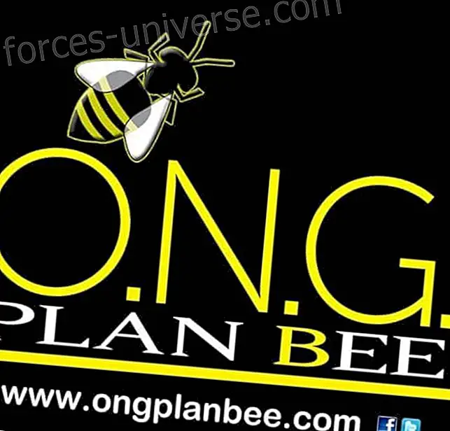 ONG Plan Bee / Campagne de «sensibilisation collective»- Monde spirituel - 