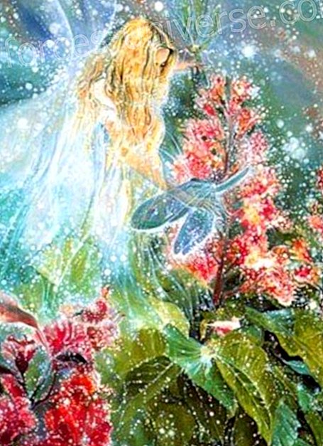 Findhorni kogemused: inglid ja lilled, autor Marion Leigh 2023