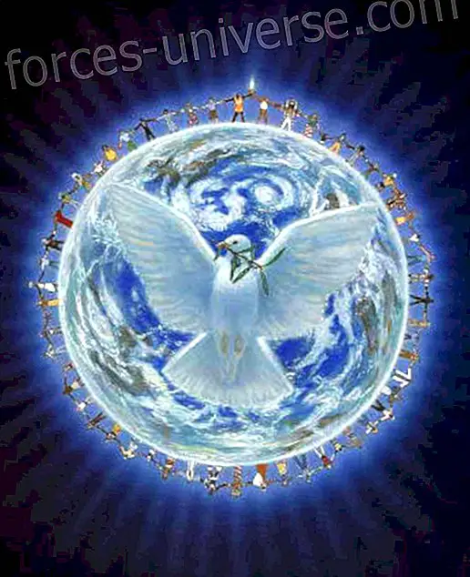 REC3 - Tilbud av GRATITUDE fra Humanity United til alt som er opprettet - Åndelig verden