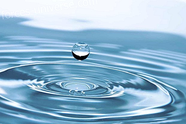 Vesi: Vee kui eluallika mõistmise kaalutlused ja tagajärjed