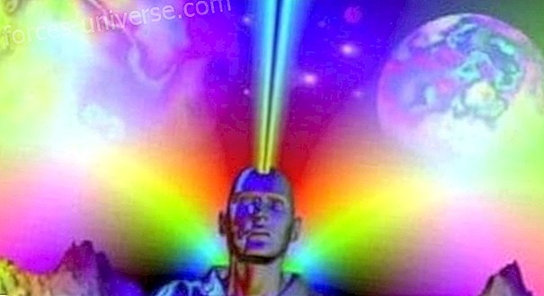 Activate the Portal of your Pineal at 11:11 this Saturday