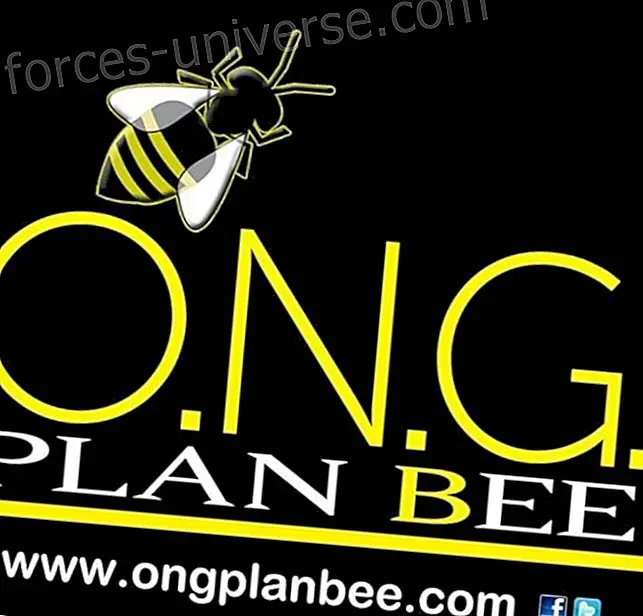 Plan bee