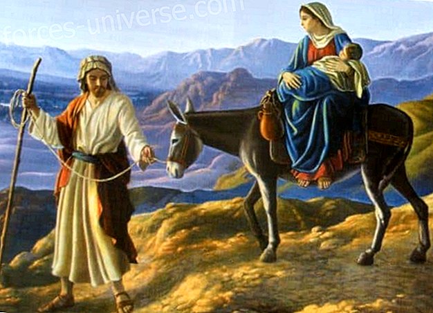 Hengelliset matkat - Pyhä perhe Egyptissä - Hengellinen maailma