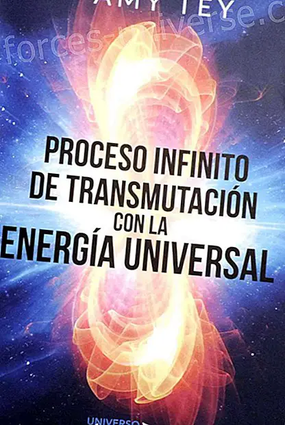 Äärettömät prosessit transmutaatiosta Universal Energyn kanssa, kirjan Amy Tey