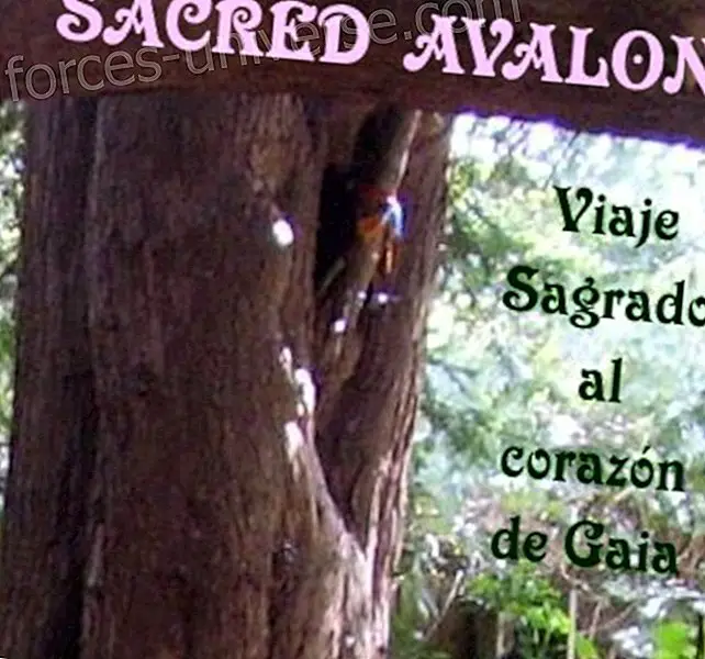 Viatge Sagrat al Cor de Gaia: AVALON.  últimes places !!! - professionals