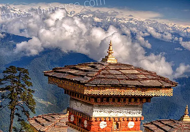 Matka Intiaan ja Butaniin ViajesdelAlman kanssa 5.-24. Marraskuuta 2016 - 2017 ammattilainen