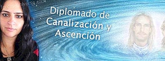 Canalizaciny ascensi Online i Mxic (Diplomat) 2015- professionals - 