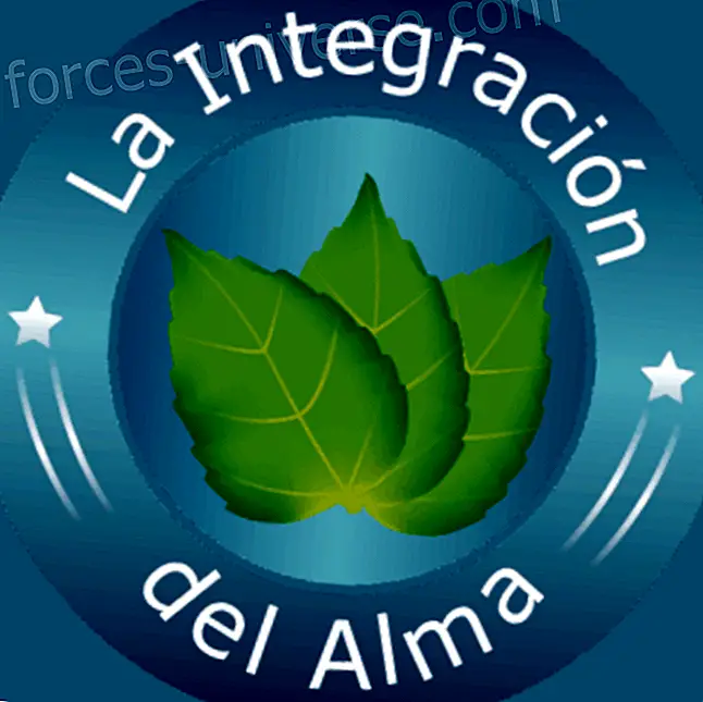 Online course: The Integration of the Soul “You are a wonderful being, let's meet and integrate it” - Professionals