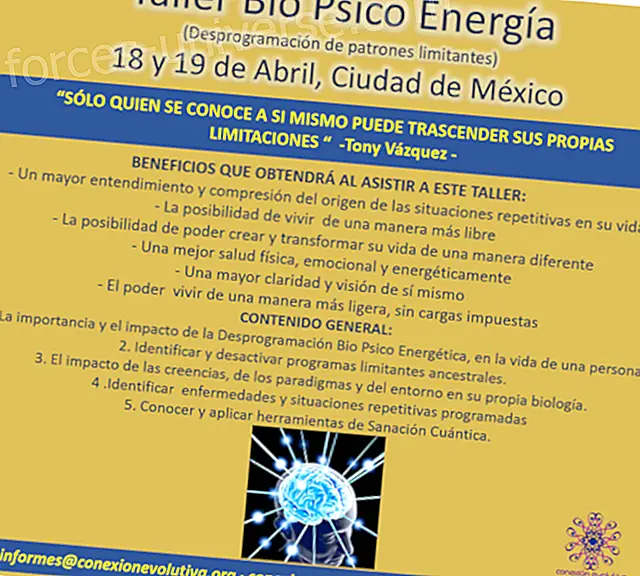 Experimental Workshop “Deprogramming of Limiting Patterns” April 18 and 19, 2015 - Mexico City - Professionals