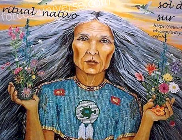 Ritual nativo: Invocação das forças da natureza Sabedoria e conhecimento 