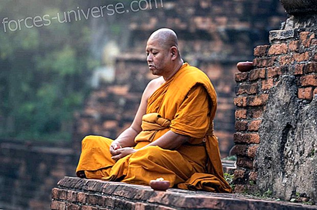 Sayadaw U Kundalabhivamsa: Bemærk fra denne store lærer om Mindfulness Meditation (Del 1)