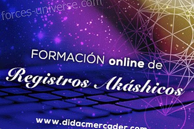 Reading and Formation of Akashic Records (Face-to-face and Distance) 2019