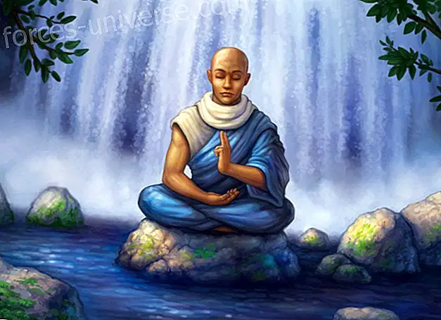 Meditació: Shamatha o Atenció Sostinguda - Saviesa i Coneixement