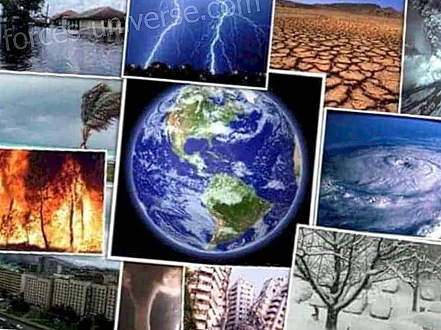 Luonnonkatastrofien ehkäisy Tiedätkö mitä tehdä?