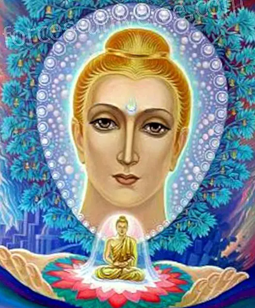 GAUTAM BUDDHA: Jo proclamo a St. Germain com el Buddha de l'Era d'Aquari - Saviesa i Coneixement