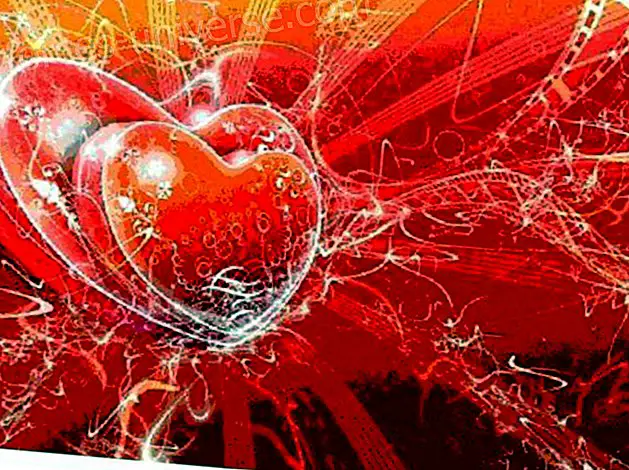 Frequency of Love. ”Visdomskompedium for at lære at leve i kærlighed - Visdom og viden