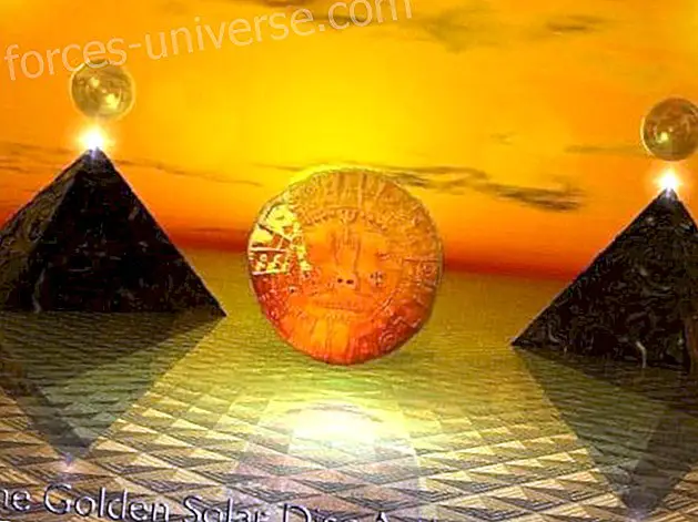 The Emergence of the New Earth: The Solar Grid and the Golden Solar Disks - Wisdom and knowledge
