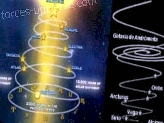 Neue Evolutionsstufen - Der Schritt zum Lichtbewusstsein - Aída Granillo - Weisheit und Wissen