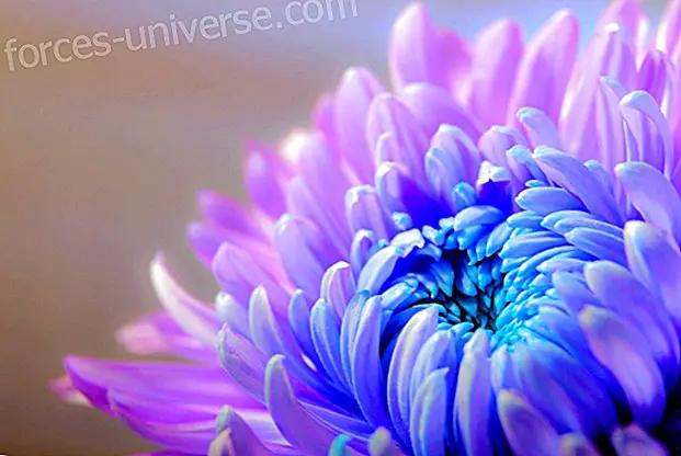 Què significa el Color Violeta en l'Aura? - Saviesa i Coneixement