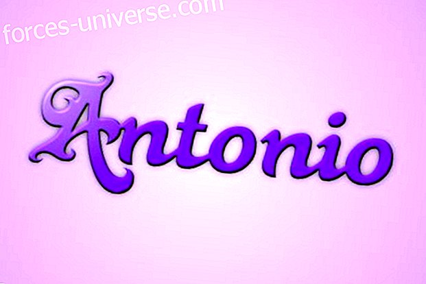Discover a little more about the meaning name Antonio Wisdom and knowledge 2022