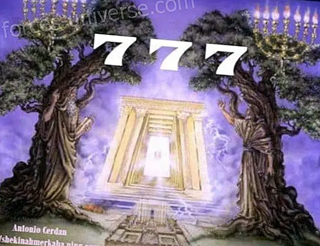 The 7-7-7 Connection Portal oleh Antonio Cerdan - Kebijaksanaan dan pengetahuan