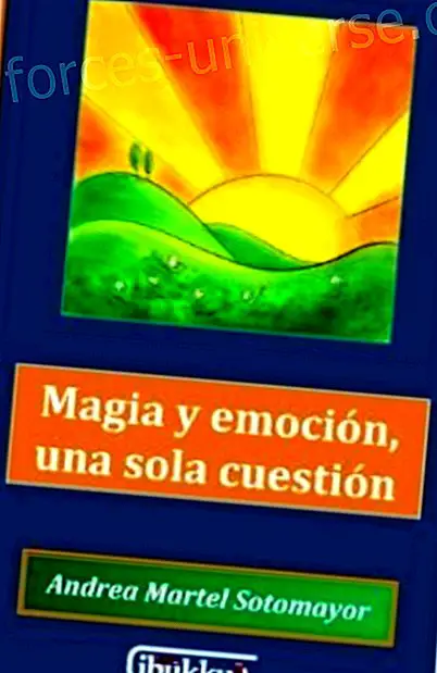 Raamat: Maagia ja emotsioonid, Andrea Martel Sotomayori üksikküsimus - Tarkus ja teadmised