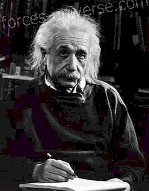 Spiritualitatea lui Albert Einstein - Înțelepciune și cunoaștere