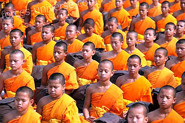 Sayadaw U Kundalabhivamsa: Bemærk fra denne store lærer om Mindfulness Meditation (Del 2)