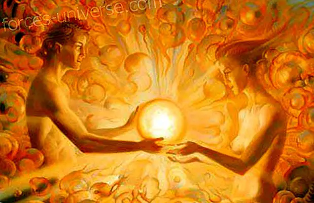 Twin Souls: Essee rakkaudesta Viisautta ja tietoa 