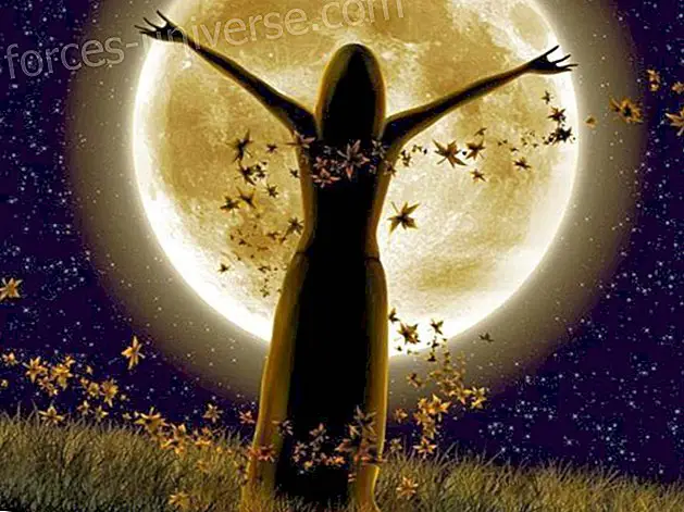 8 et 9 septembre: La Lune en Poissons- Sagesse et connaissance - 