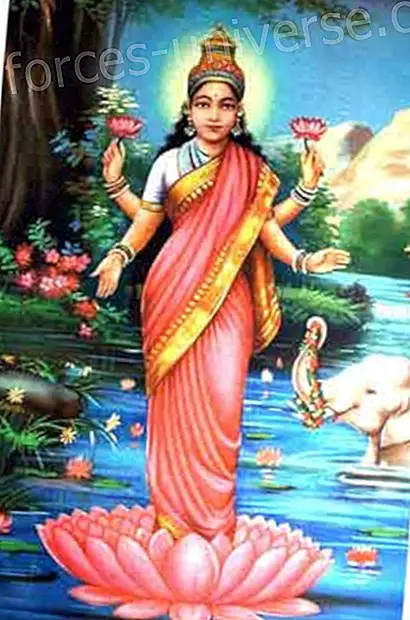 Lakshmi Hindu Goddess - Visdom og kunnskap