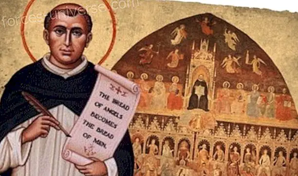 Vaimulikud raamatud - Thomas Aquinase alkeemia kunst - Tarkus ja teadmised