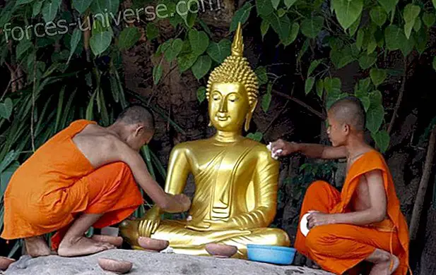 Saps com fer neteja de la Llar?  Per saber-ho, llegeix aquests consells d'un Monjo Budista - Saviesa i Coneixement