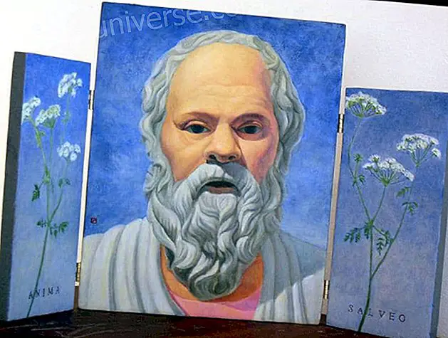 Sokrates-totuus - Viisautta ja tietoa