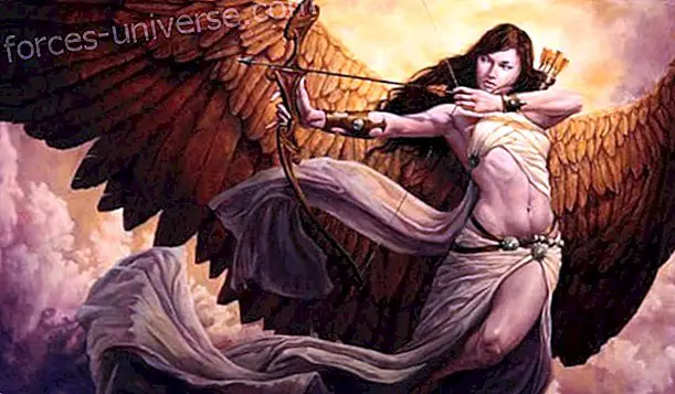 Kuka oli jumalatar Artemis?  Vuoristojen, metsien ja metsästyksen kuningatar - Viisautta ja tietoa