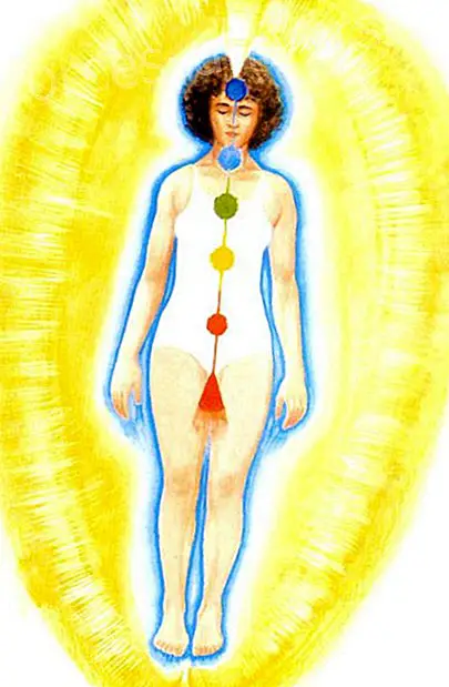 About the Aura, its colors and tips to start feeling and seeing our Auras - Wisdom and knowledge