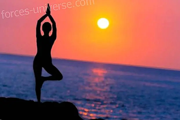 De bästa yogavideor för nybörjare - Visdom och kunskap