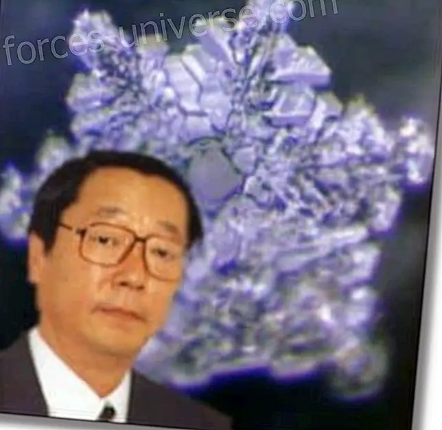 Hidden Messages in Water, by Masaru Emoto - Wisdom and knowledge